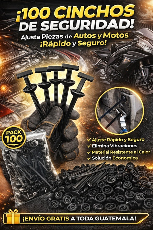 CINCHOS DE SEGURIDAD